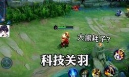 侍卫的新皮肤爆料视频